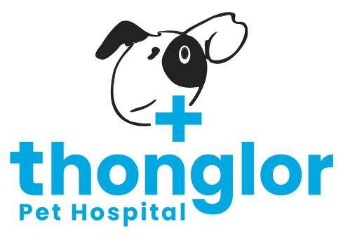 Thonglor Pet Hospital