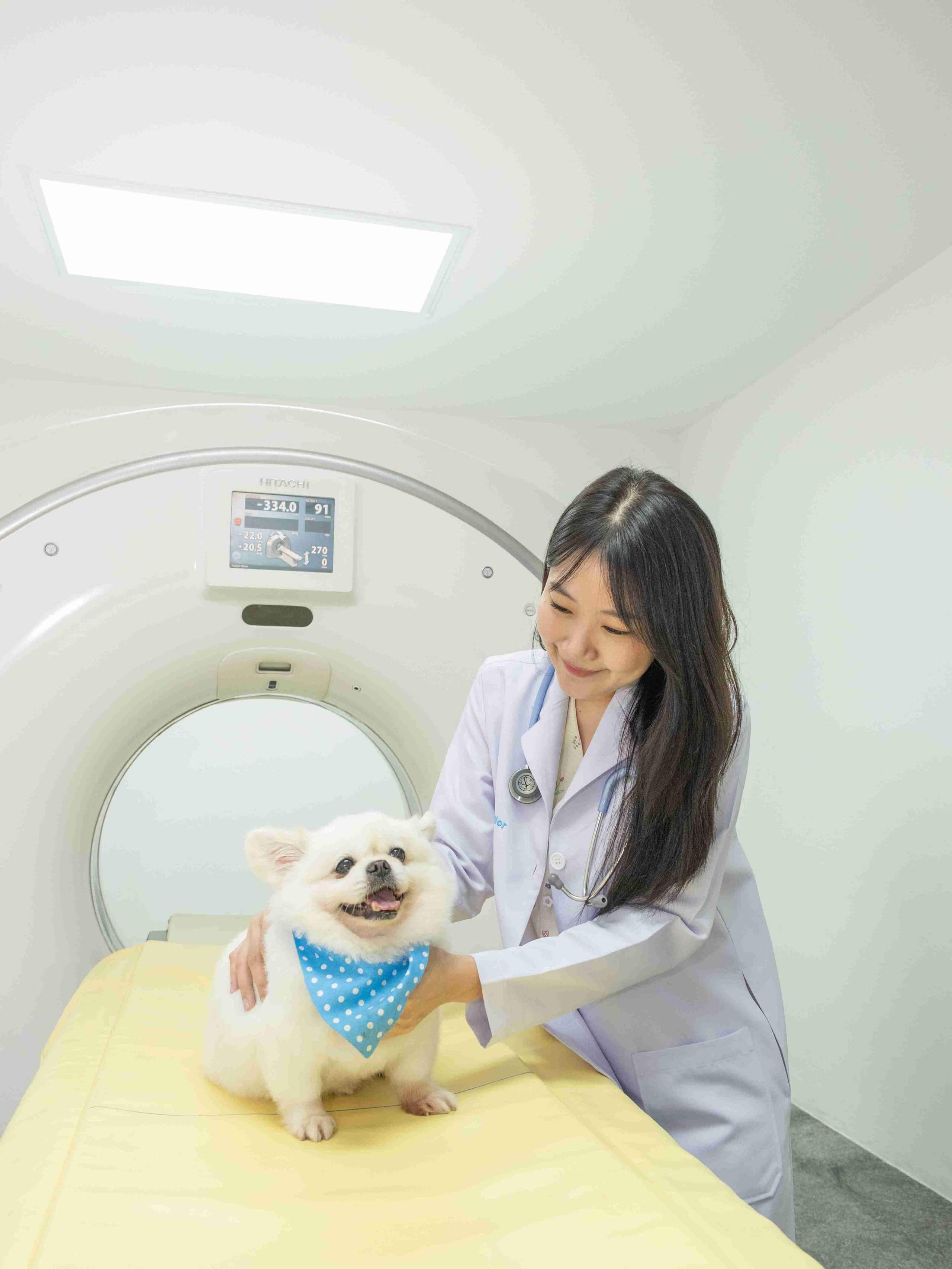 MRI หมา แมว