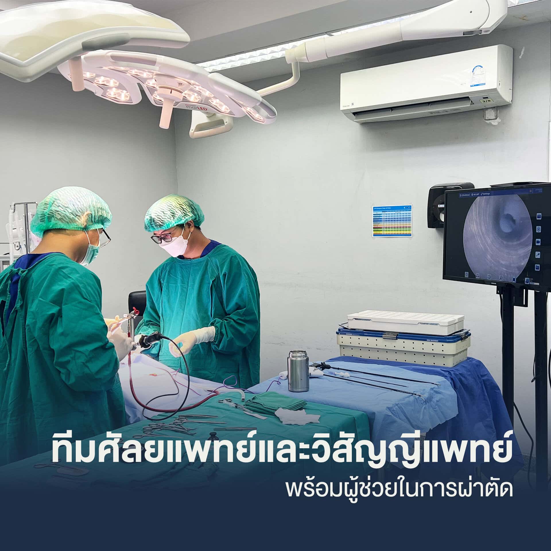 MRI สัตว์เลี้ยง