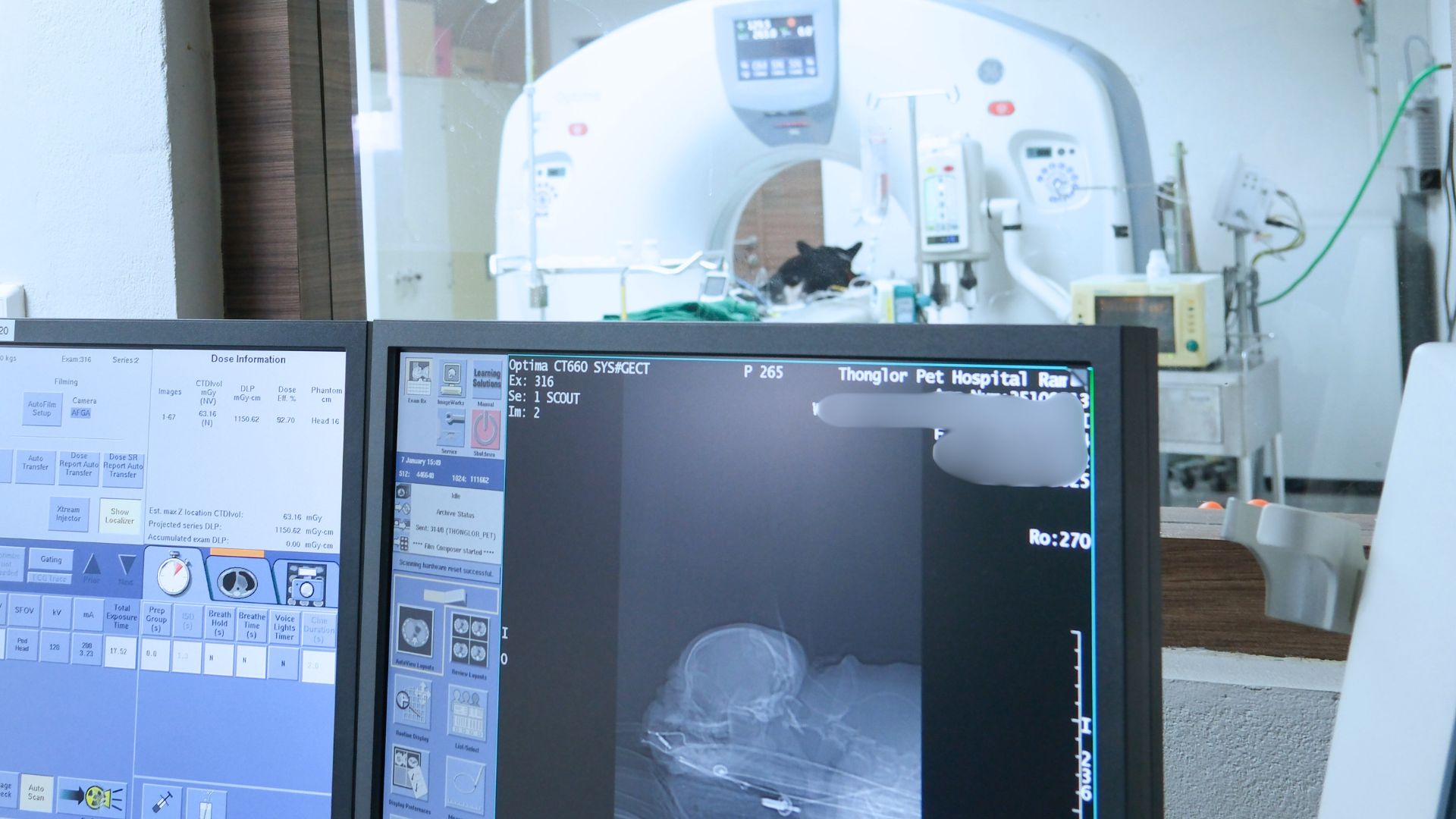 MRI สัตว์เลี้ยง