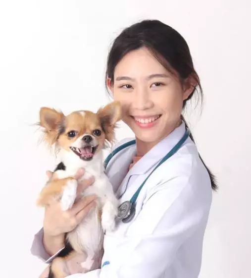 image doctor