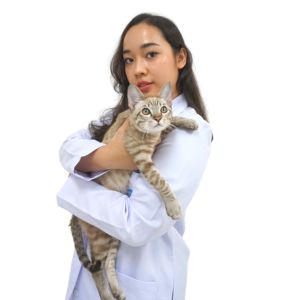 image doctor