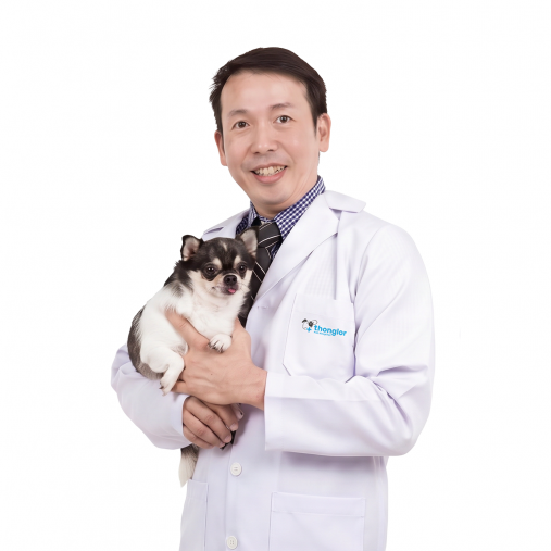 image doctor