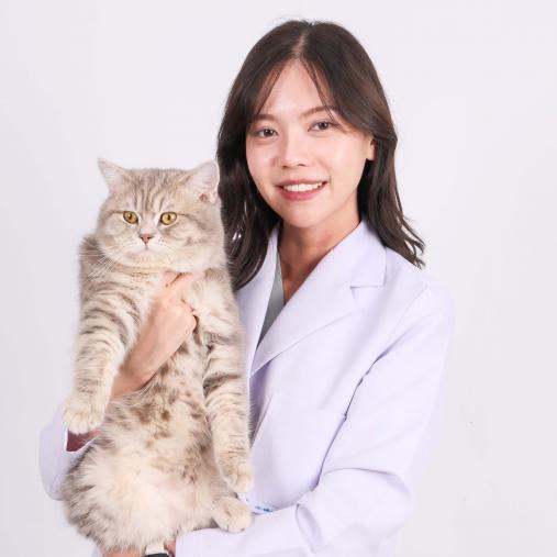 image doctor