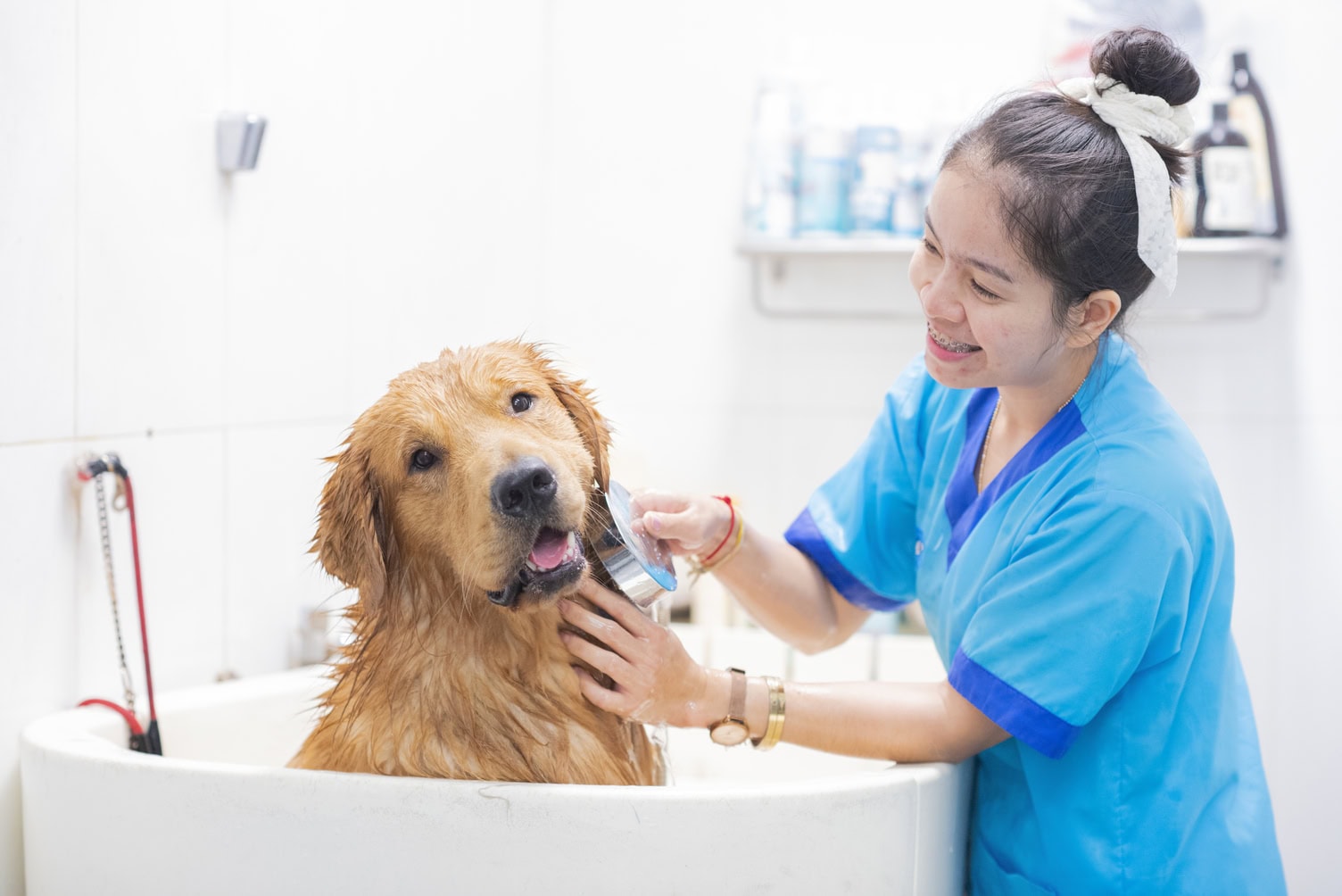 dấu hiệu pet hotel uy tín