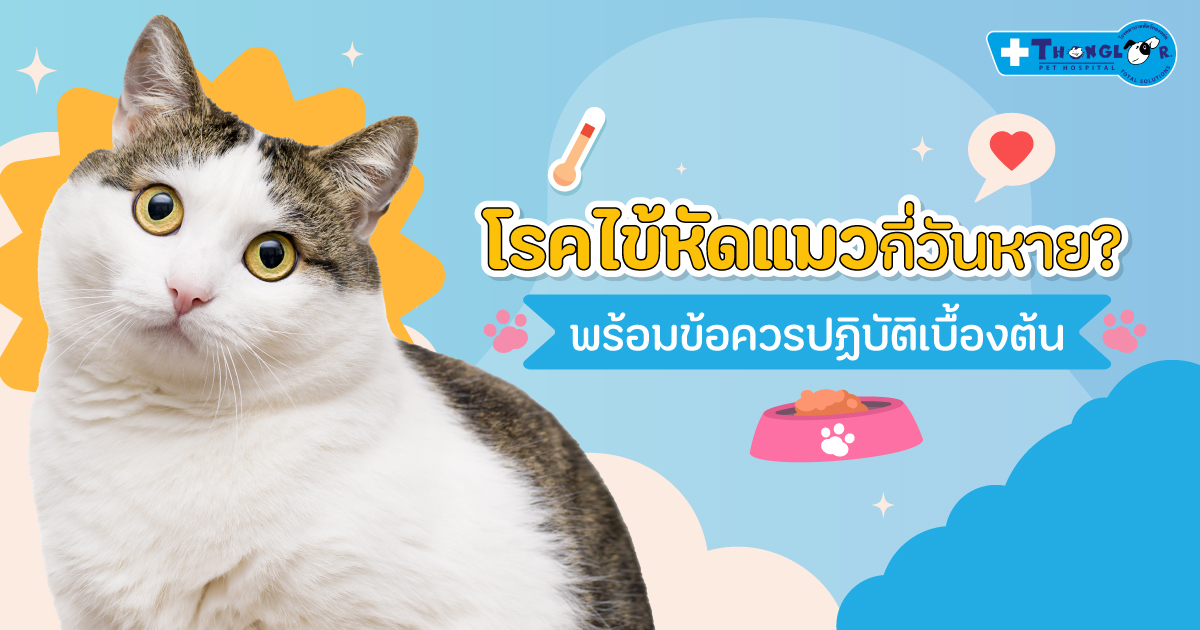 A-pro (อาหารแมวแบบเม็ด) - เพื่อนเพ็ทช็อป อาหารสัตว์ เชียงใหม่