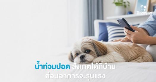 น้ำท่วมปอด สังเกตได้ที่บ้าน ก่อนอาการจะรุนแรง