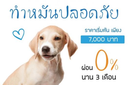 Package ทำหมันสุนัข