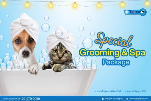 Special Grooming&Spa Package