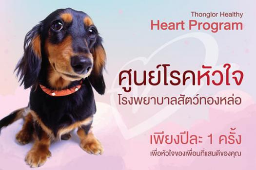 Package ตรวจหัวใจเพื่อเพื่อนที่แสนดีของคุณ