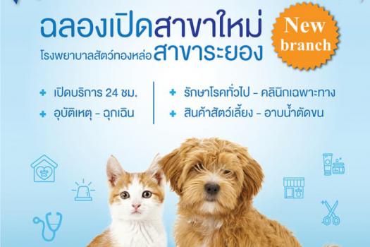 Grand opening promotion 