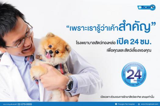 โรงพยาบาลสัตว์ทองหล่อ ตรวจรักษาครบวงจร เปิดตลอด 24 ชั่วโมง