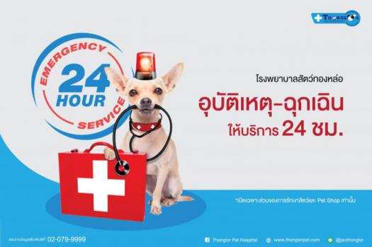 อุบัติเหตุ-ฉุกเฉิน โรงพยาบาลสัตว์ทองหล่อให้บริการ 24 ชม.