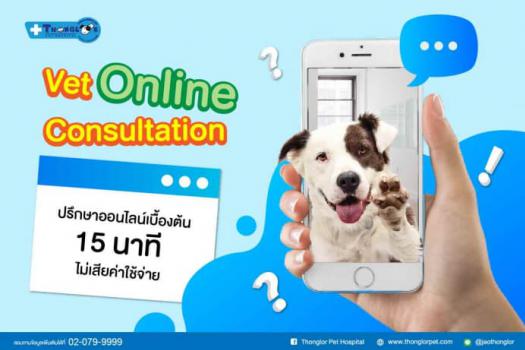 Vet Online Consultation บริการให้คำปรึกษาออนไลน์