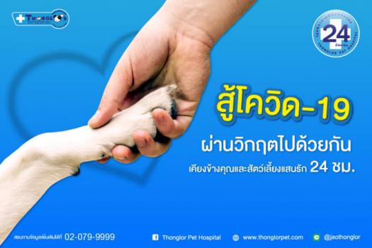 สู้โควิด-19 ผ่านวิกฤตไปด้วยกัน เคียงข้างคุณและสัตว์เลี้ยงแสนรัก 24 ชม.