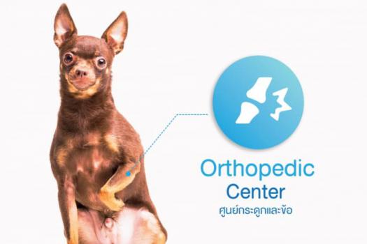 โปรแกรมผ่าสะบ้าเคลื่อน - ศูนย์กระดูกและข้อ (Orthopedic Center)