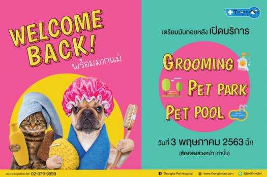 Welcome Back! พร้อมมากแม่ เตรียมนับถอยหลัง เปิดบริการอาบน้ำ-ตัดขน สระว่ายน้ำ และสนามหญ้า