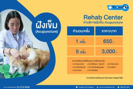 ค่าบริการฝังเข็มในสัตว์เลี้ยง เริ่มต้นที่ 650.-