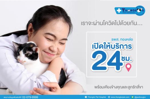 เราจะผ่านวิกฤต COVID-19 ไปด้วยกัน โรงพยาบาลสัตว์ทองหล่อพร้อมเคียงข้างคุณและลูกรักสี่ขาไปด้วยกัน...เพราะเรารู้ว่าเขาสำคัญกับคุณ