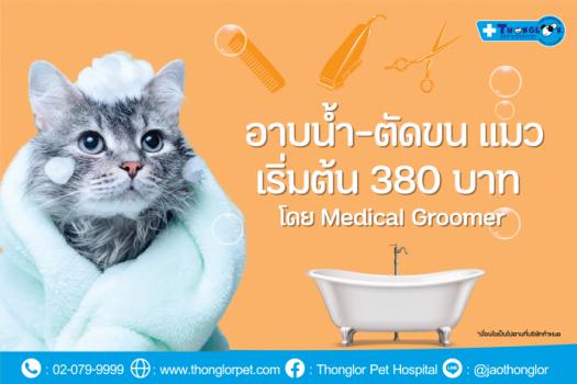 ค่าบริการอาบน้ำตัดขนแมว