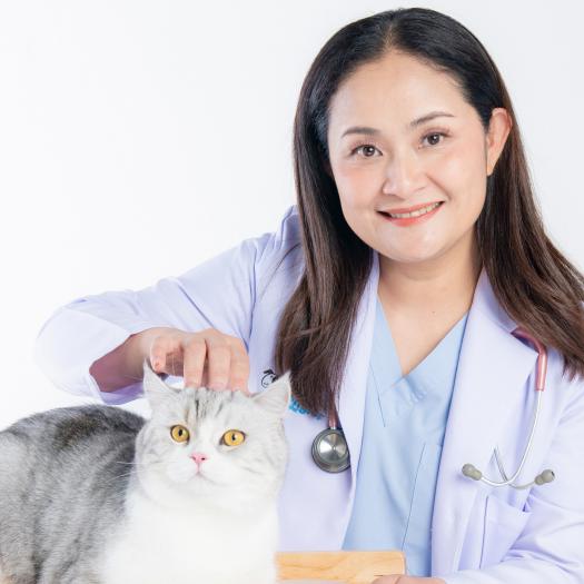 宠物心脏检查套餐：早发现、早预防，守护爱宠“心”健康 