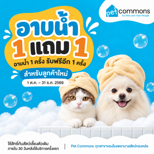 อาบน้ำสุนัขและแมว 1 แถม 1 สำหรับลูกค้าใหม่ Pet Commons
