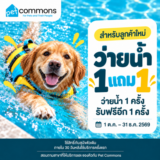 ว่ายน้ำสุนัข 1 แถม 1 สำหรับลูกค้าใหม่ Pet Commons