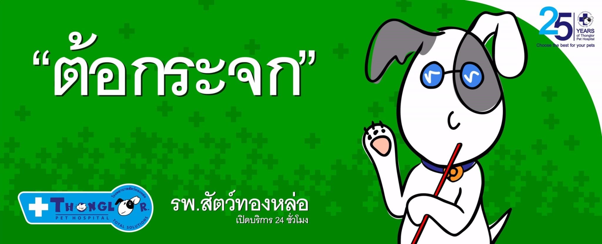 ส น ขตาข นขาว แมวตาเป นฝ า สามารถร กษาได ไหม Thonglor Pet