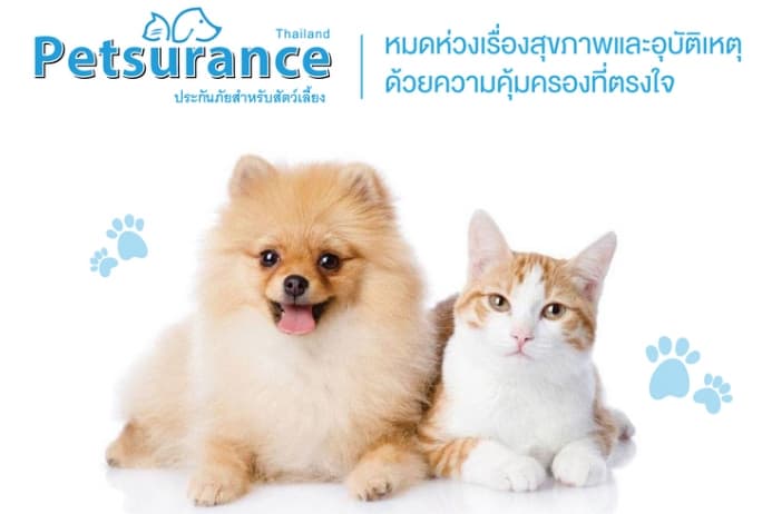 Petsurance ประกันภัยสำหรับสัตว์เลี้ยง
